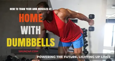 Effective Dumbbell Arm Workouts: Build Strength at Home Easily