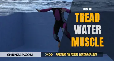 Treading Water: Muscle Memory and Technique