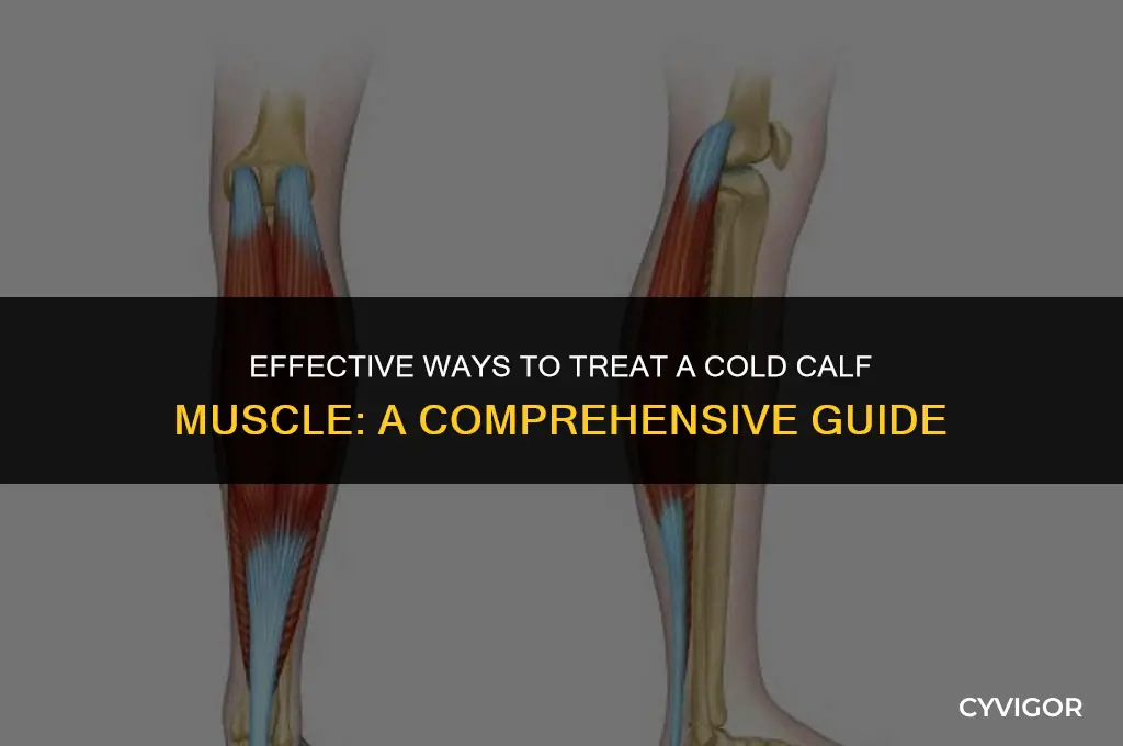 how to treat a cold calf muscle