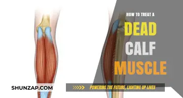 Reviving Your Calf Muscle: A Guide to Treating a Dead Calf