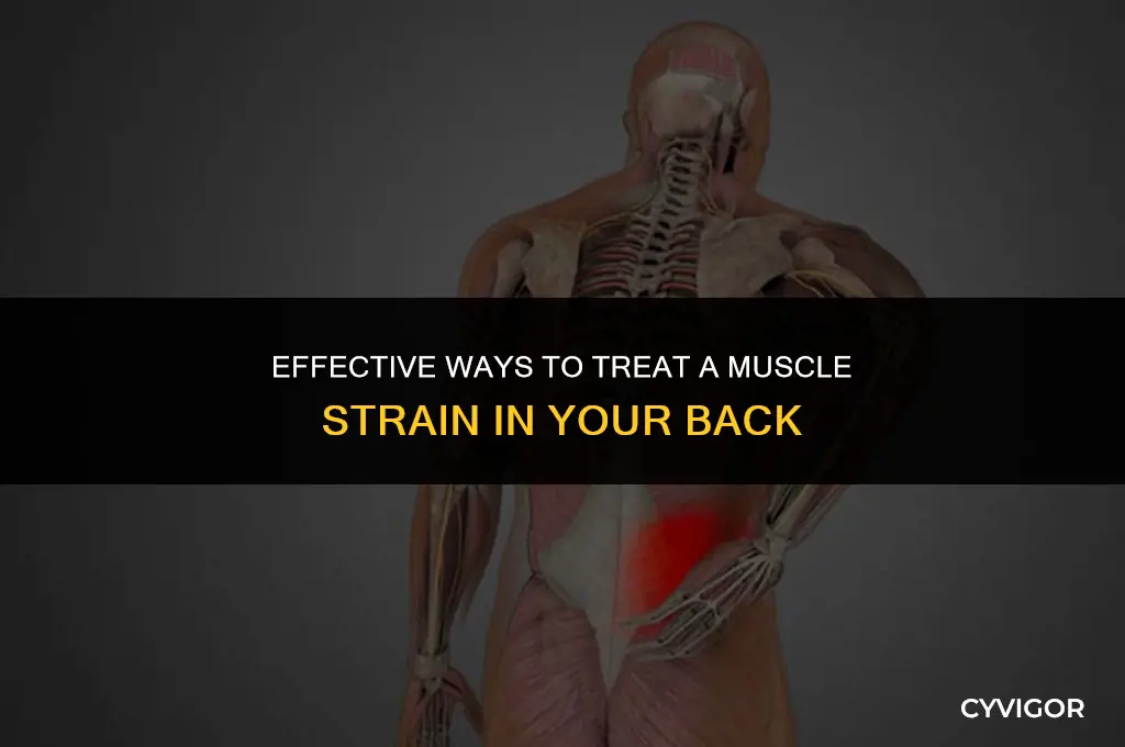 how to treat a muscle strain in back