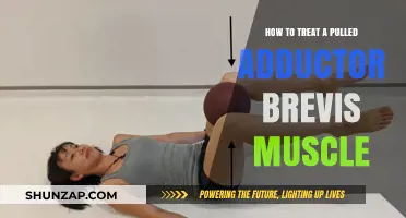 Effective Treatment Strategies for Pulled Adductor Brevis Muscle Recovery