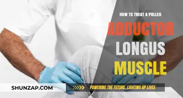 Effective Treatment Strategies for Pulled Adductor Longus Muscle Recovery