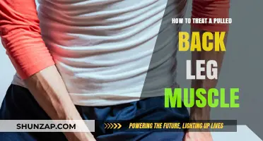 Effective Pulled Back Leg Muscle Treatment: Recovery Tips and Remedies