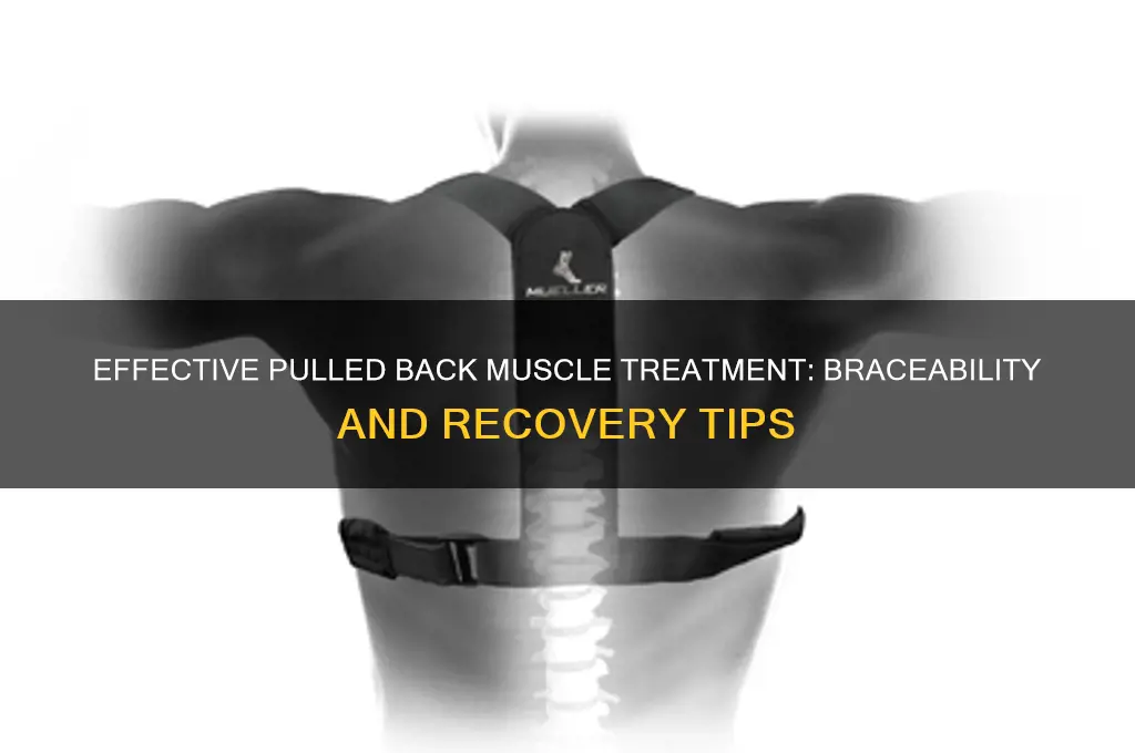 how to treat a pulled back muscle braceability