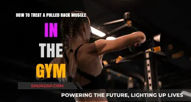 Effective Gym Recovery: Treating a Pulled Back Muscle Safely and Quickly