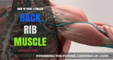 Effective Treatment Strategies for Pulled Back Rib Muscle Relief