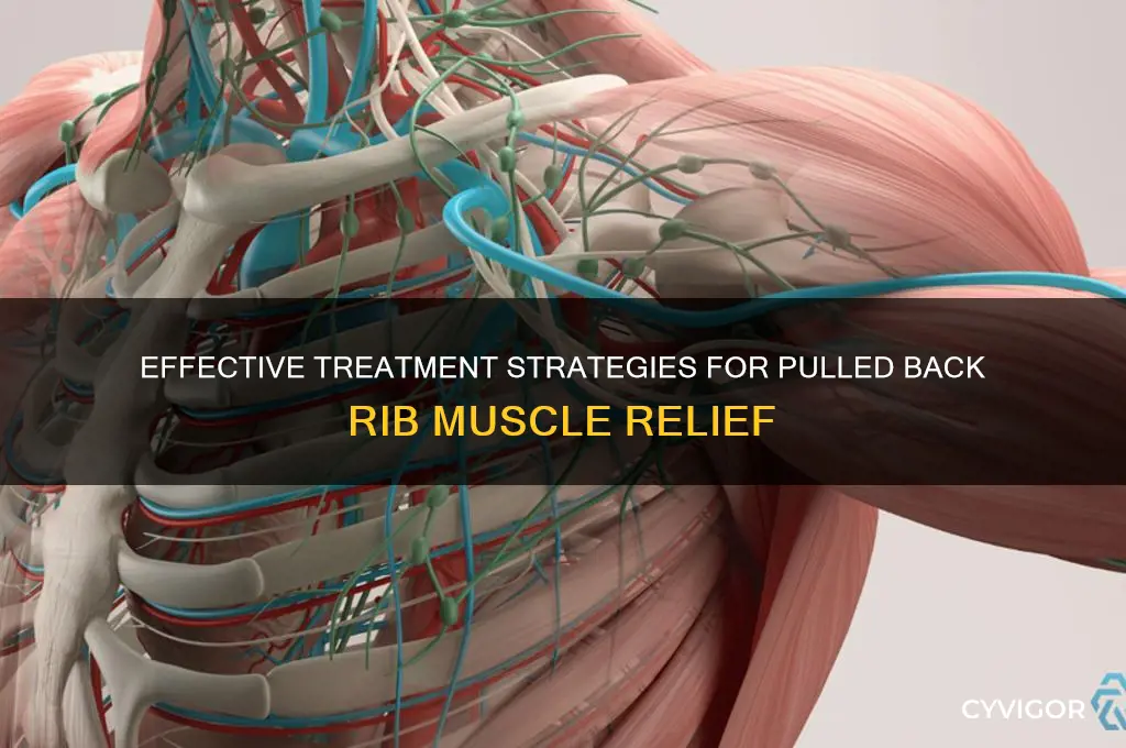 how to treat a pulled back rib muscle