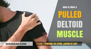 Effective Pulled Deltoid Muscle Treatment: Recovery Tips and Exercises