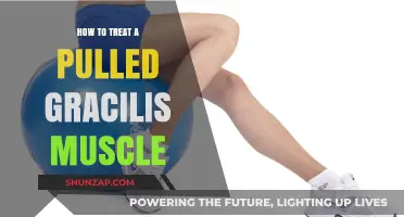 Effective Treatment Strategies for Pulled Gracilis Muscle Recovery and Relief