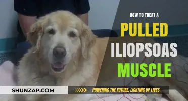 Effective Treatment Strategies for Pulled Iliopsoas Muscle Recovery