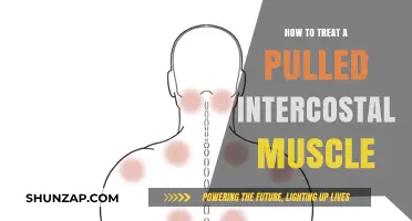 Effective Treatment Strategies for Pulled Intercostal Muscle Relief and Recovery