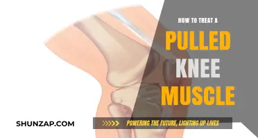 Effective Pulled Knee Muscle Treatment: Recovery Tips and Remedies