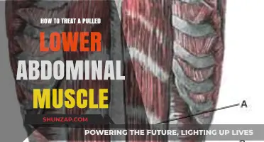 Effective Treatment Strategies for Pulled Lower Abdominal Muscle Recovery
