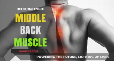 Effective Ways to Treat and Heal a Pulled Middle Back Muscle