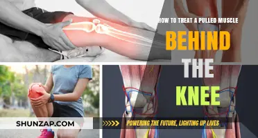 Effective Treatment Strategies for Pulled Muscles Behind the Knee