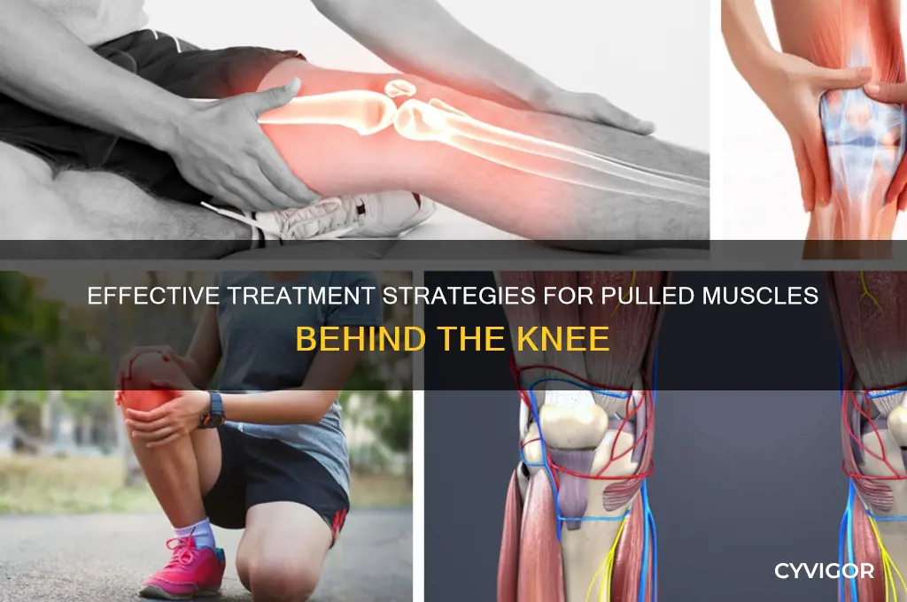 how to treat a pulled muscle behind the knee