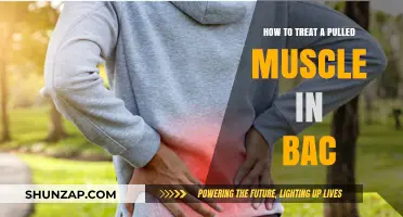 Effective Pulled Back Muscle Treatment: Relief and Recovery Tips