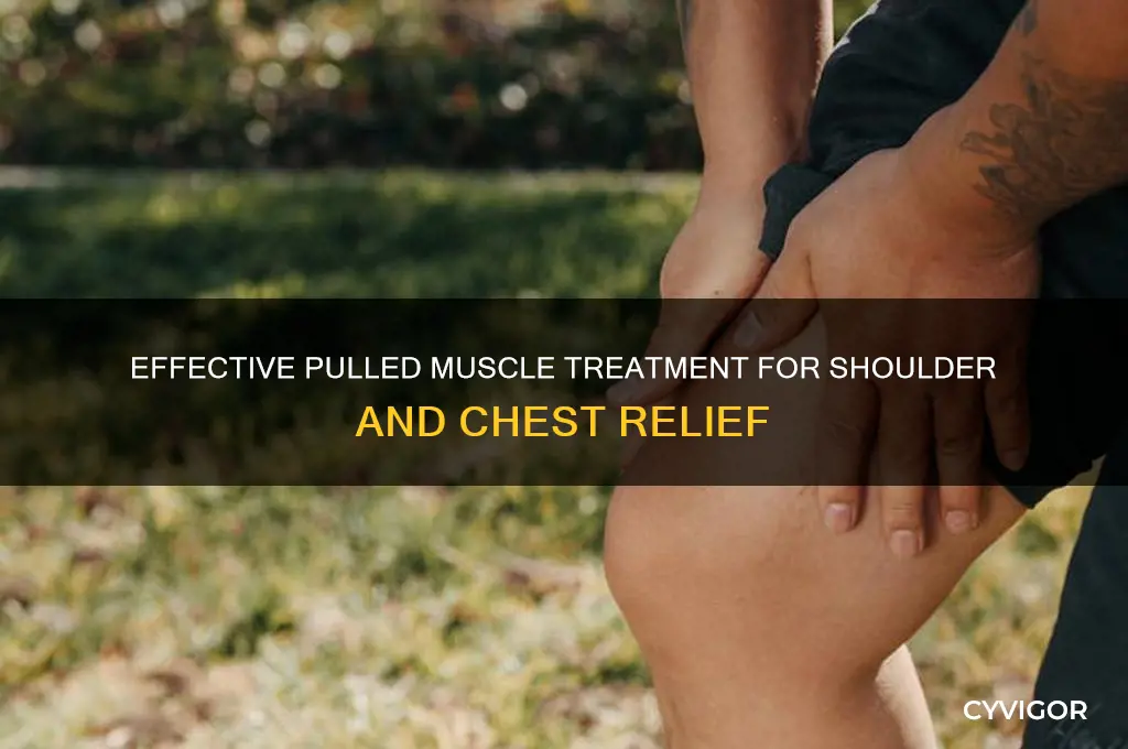 how to treat a pulled muscle in shoulder and chest