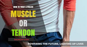Effective Pulled Muscle and Tendon Treatment: Recovery Tips and Remedies