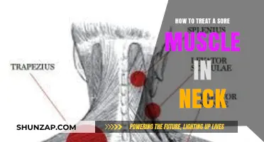 Effective Remedies for Relieving Sore Neck Muscles Quickly and Safely