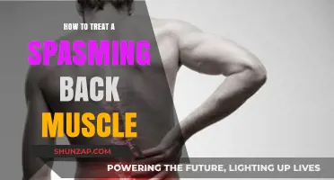 Relieving Back Muscle Spasms: Effective Treatments and Prevention Tips
