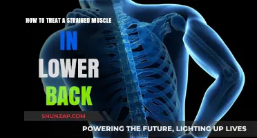 Relieving Lower Back Pain: A Guide to Treating Strained Muscles