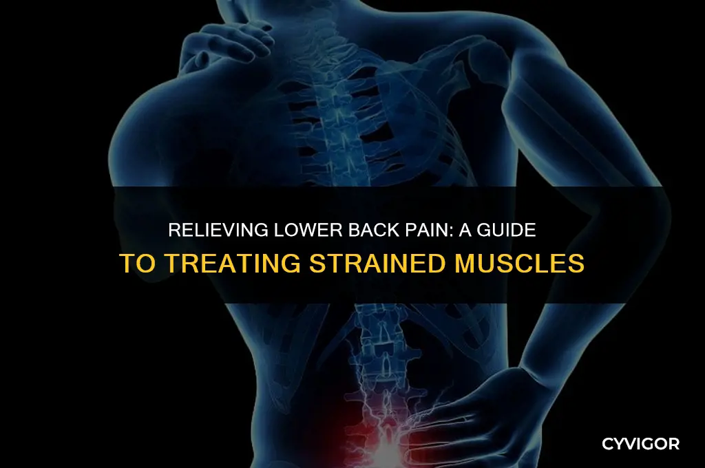 how to treat a strained muscle in lower back