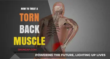 Effective Ways to Heal and Prevent Torn Back Muscles