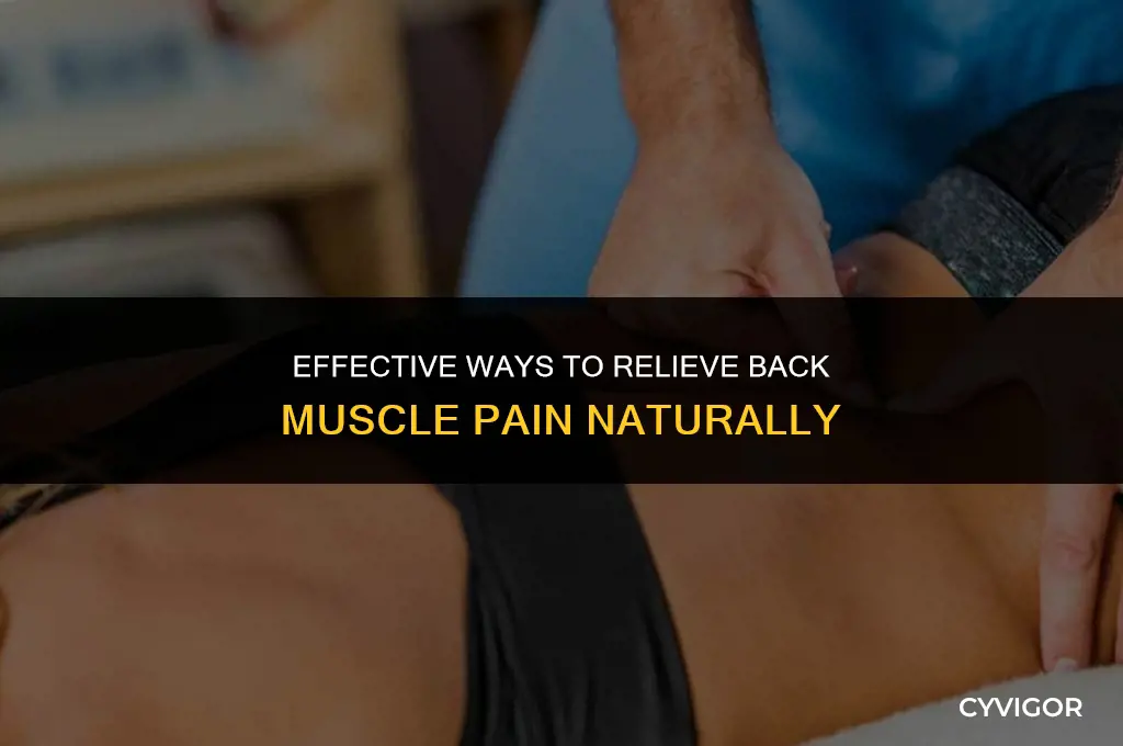 how to treat back muscle pain