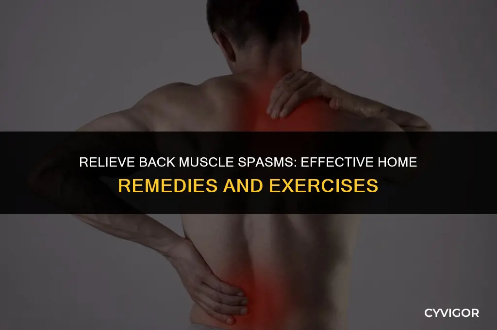 how to treat back muscle spasms at home