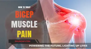 Effective Remedies for Relieving Bicep Muscle Pain and Recovery Tips