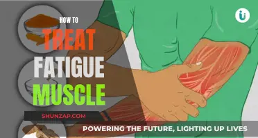 Treating Fatigued Muscles: Natural Ways to Heal and Revitalize