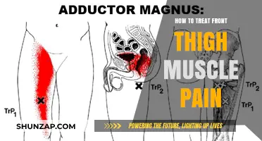 Effective Remedies for Front Thigh Muscle Pain Relief and Recovery