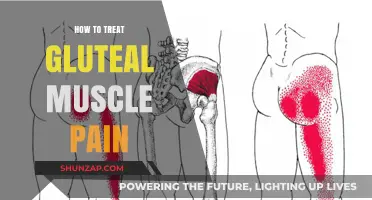 Effective Strategies to Relieve and Heal Gluteal Muscle Pain