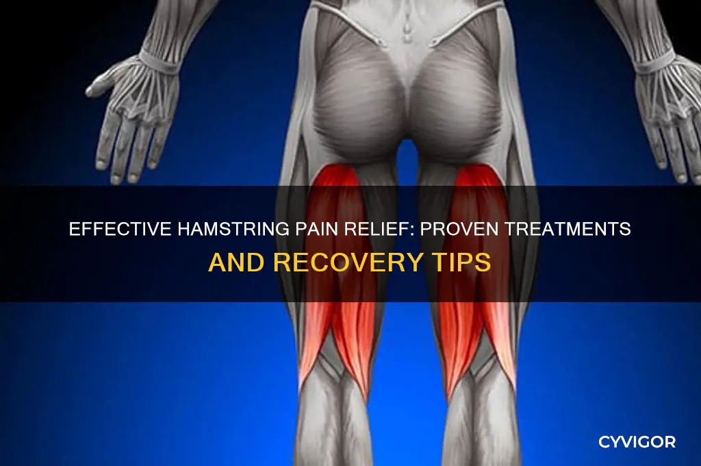 how to treat hamstring muscle pain