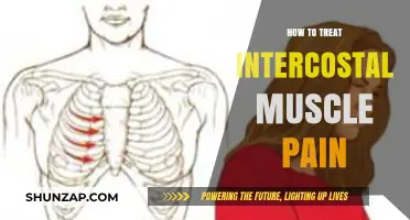 Effective Strategies for Relieving Intercostal Muscle Pain and Discomfort