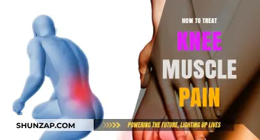 Effective Strategies to Relieve and Treat Knee Muscle Pain