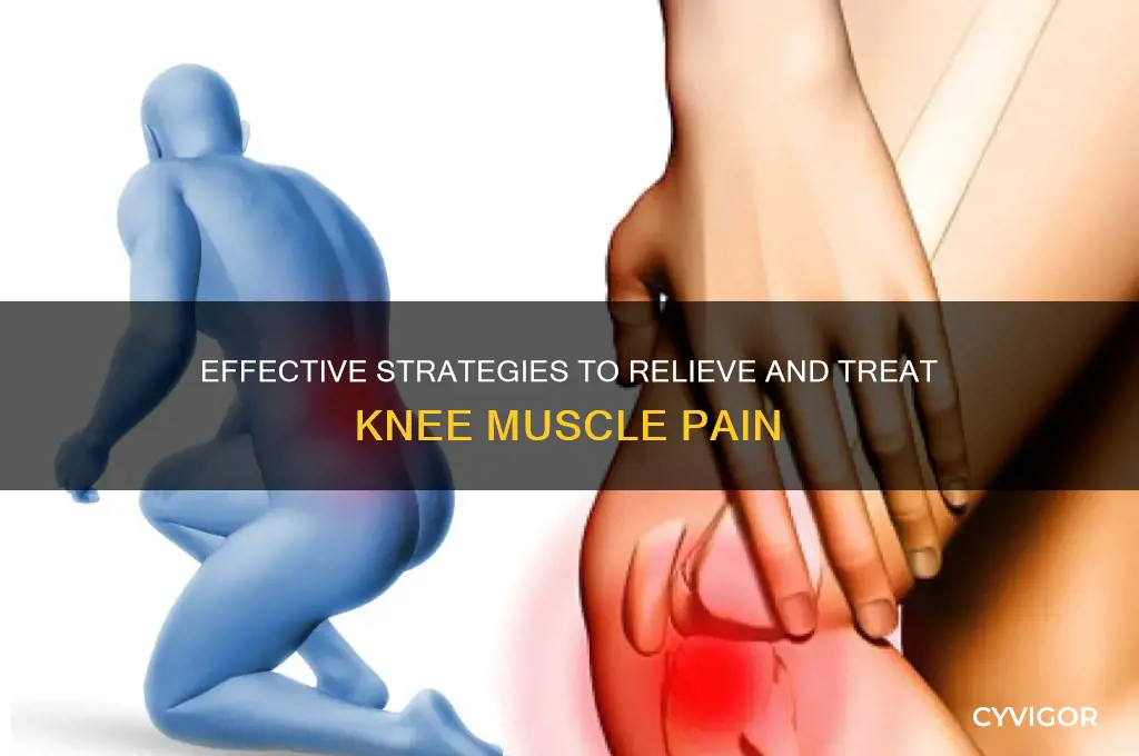 how to treat knee muscle pain