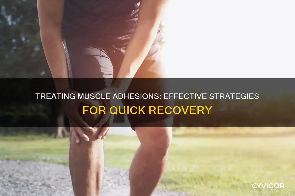 how to treat muscle adhesions