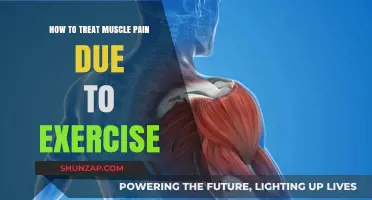 Effective Remedies for Exercise-Induced Muscle Pain Relief and Recovery
