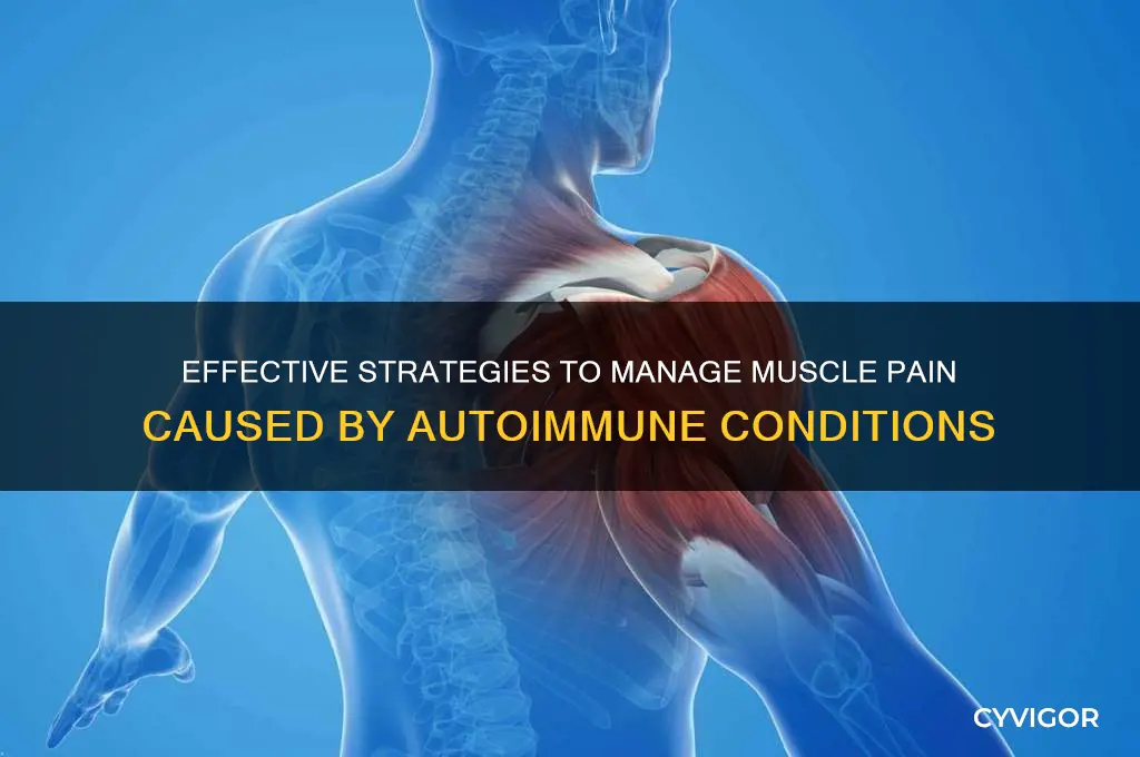 how to treat muscle pain from autoimmune disease