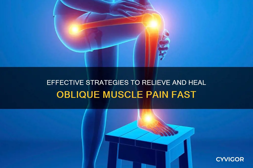 how to treat oblique muscle pain