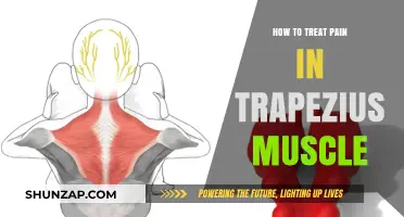 Effective Trapezius Muscle Pain Relief: Tips and Treatments for Comfort