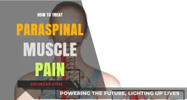 Effective Strategies to Relieve and Manage Paraspinal Muscle Pain