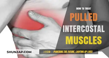 Effective Treatment Strategies for Pulled Intercostal Muscles: A Comprehensive Guide