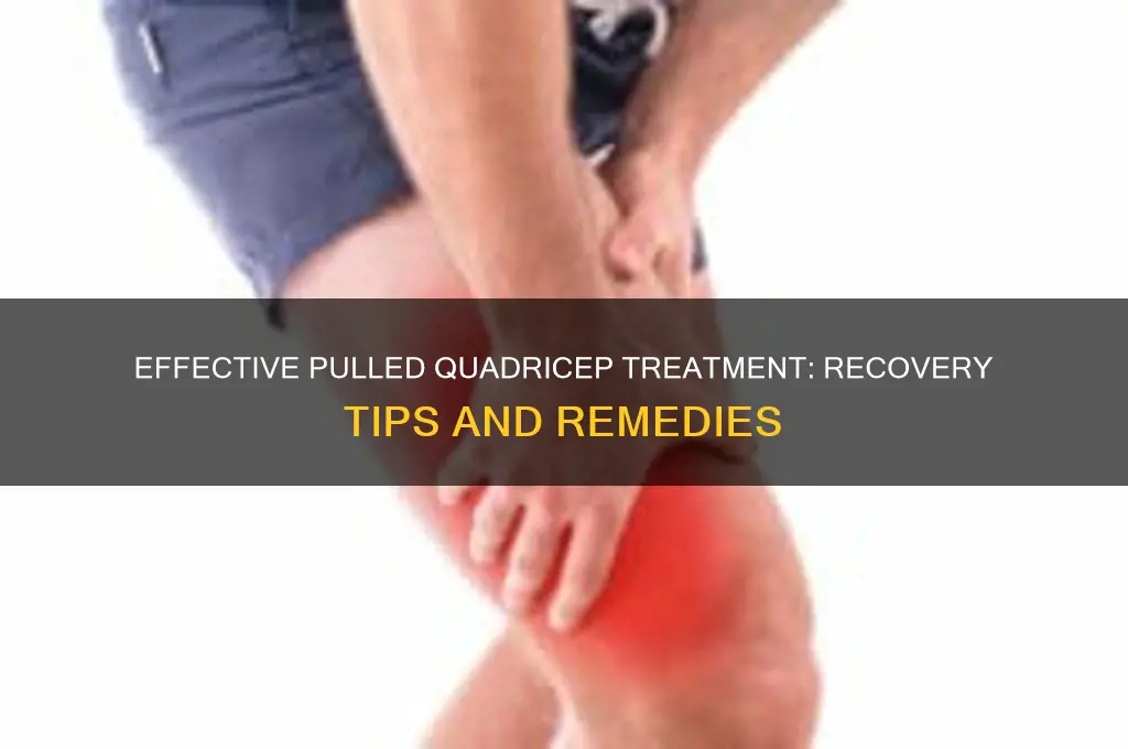 how to treat pulled quadricep muscle