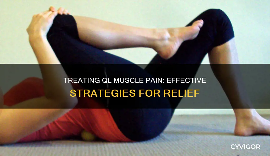 how to treat ql muscle