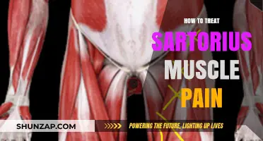 Effective Treatment Strategies for Relieving Sartorius Muscle Pain and Discomfort