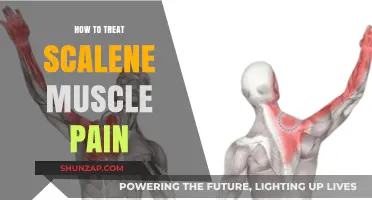 Effective Scalene Muscle Pain Relief: Causes, Treatments, and Prevention Tips